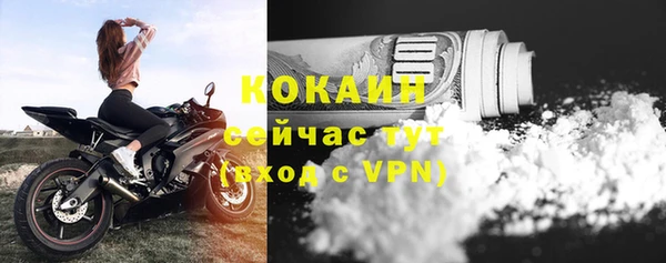 эйфоретик Арсеньев