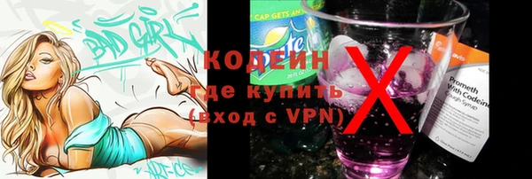 эйфоретик Арсеньев