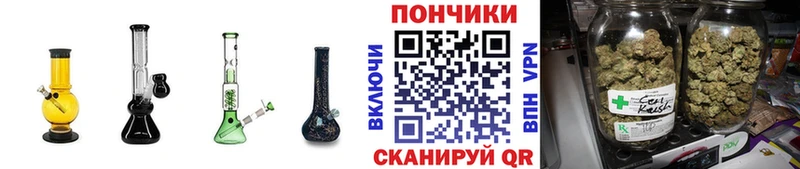 Бошки марихуана THC 21%  где найти   KRAKEN ONION  это как зайти  Колпашево 